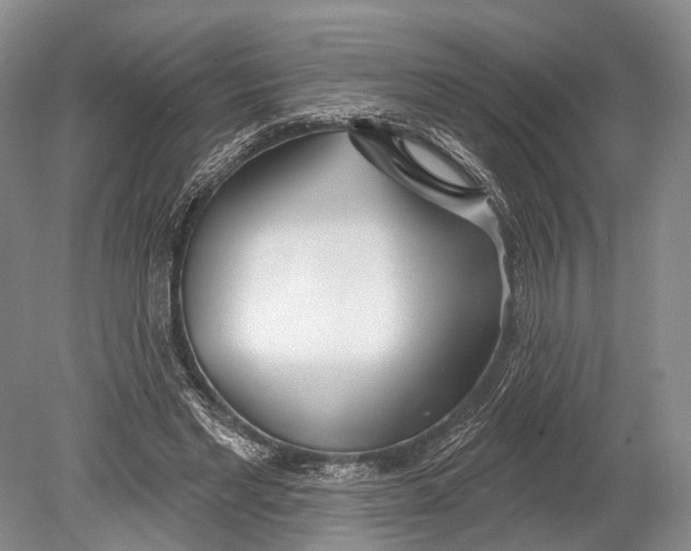 X0000078830493200612041817