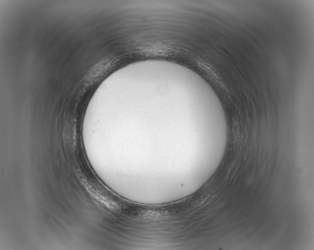 X0000078830494200612041817