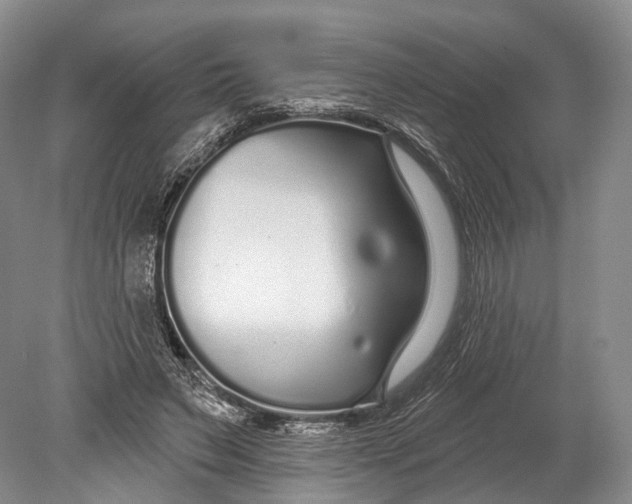 X0000078830495200612041817