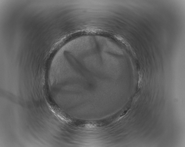 X0000078830496200612041817