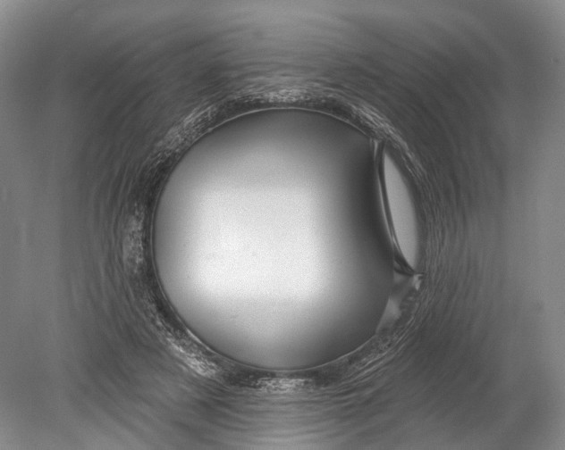 X0000078830497200612041817