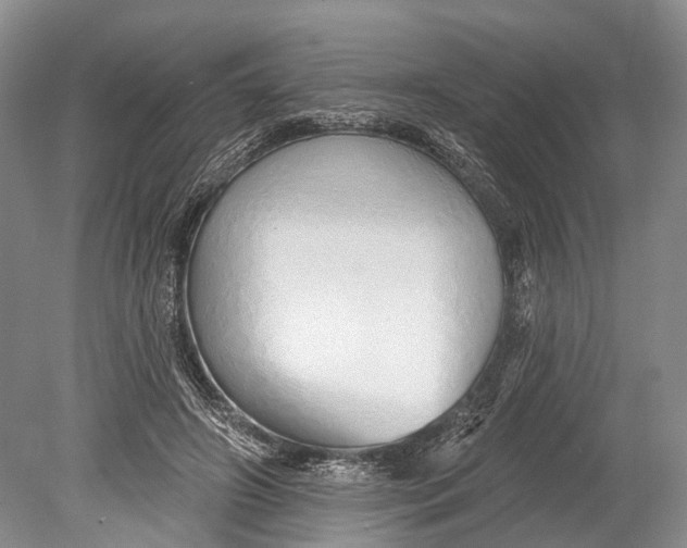 X0000078830498200612041817