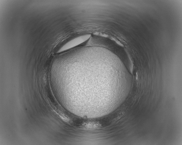 X0000078830499200612041817