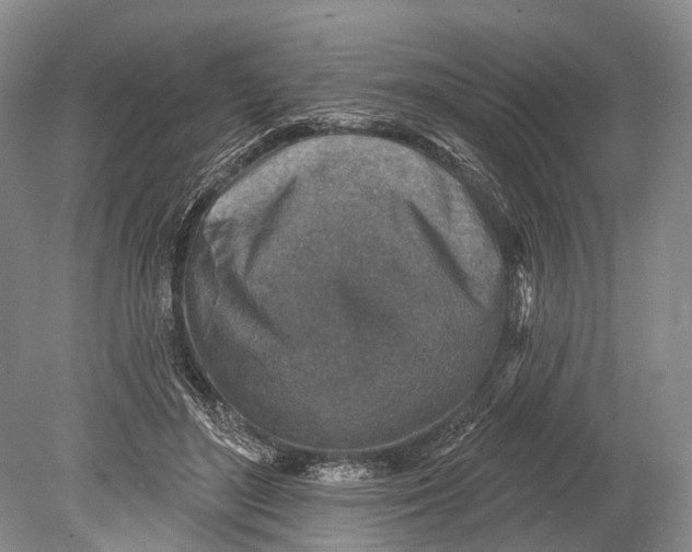 X0000078830500200612041817