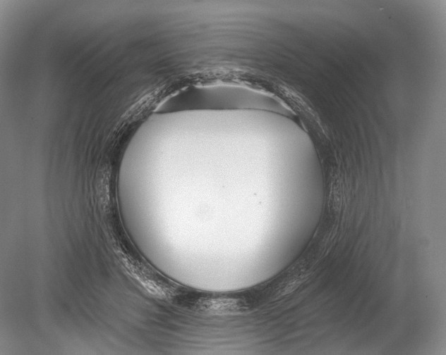 X0000078830501200612041817