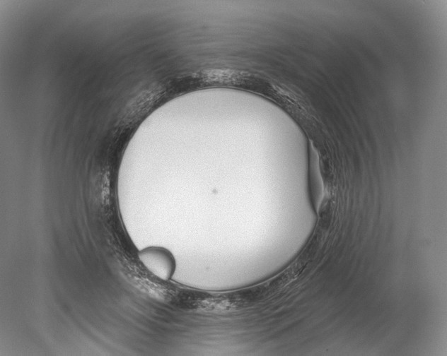 X0000078830502200612041817