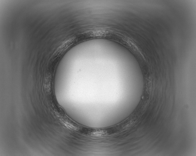 X0000078830505200612041817