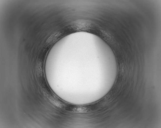 X0000078830506200612041817