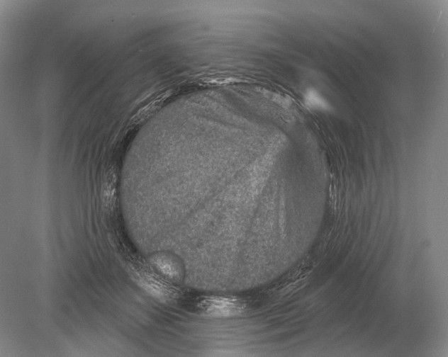 X0000078830507200612041817