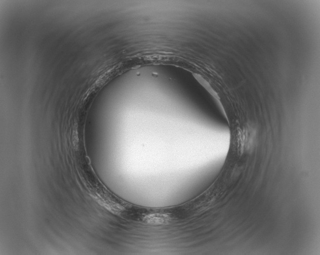 X0000078830508200612041817