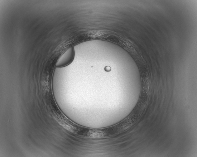 X0000078830510200612041817