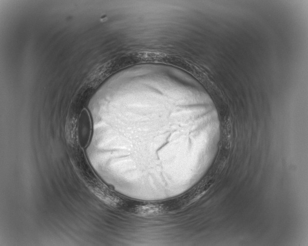 X0000078830511200612041817