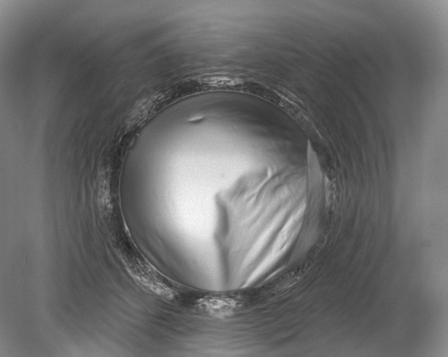 X0000078830512200612041817