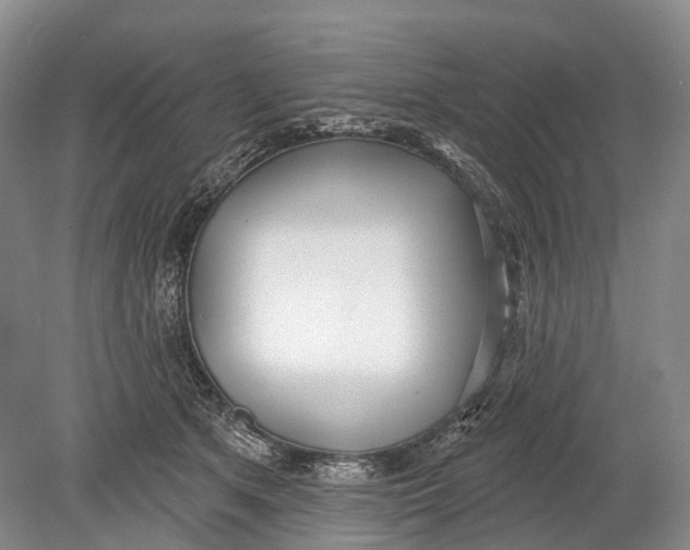 X0000078830513200612041817