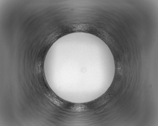 X0000078830514200612041817