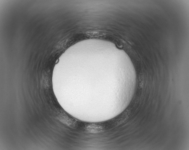 X0000078830515200612041817