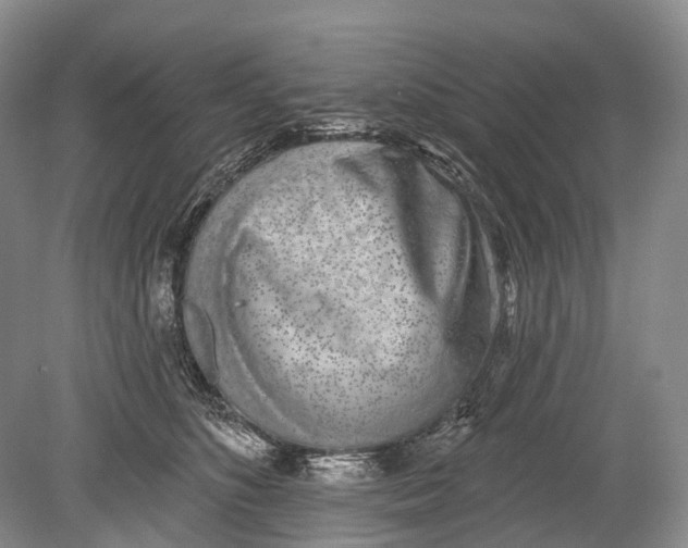 X0000078830516200612041817