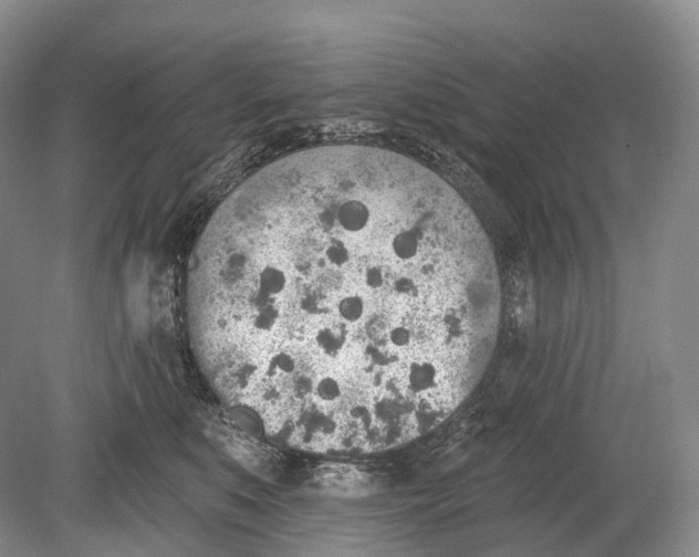 X0000078830519200612041816