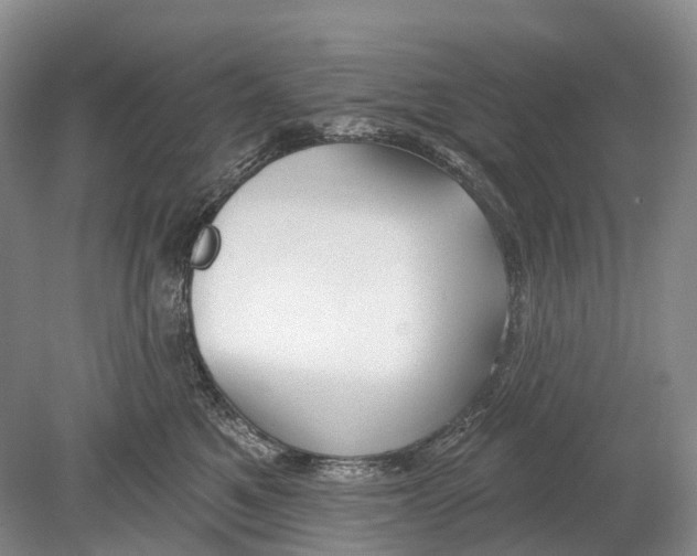 X0000078830521200612041816