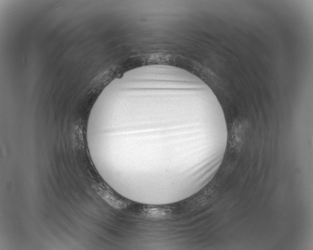 X0000078830522200612041816