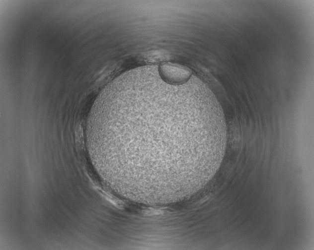 X0000078830523200612041816