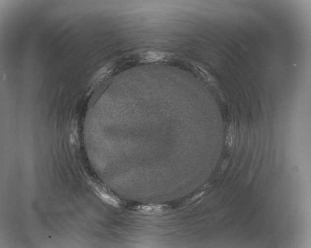 X0000078830524200612041816