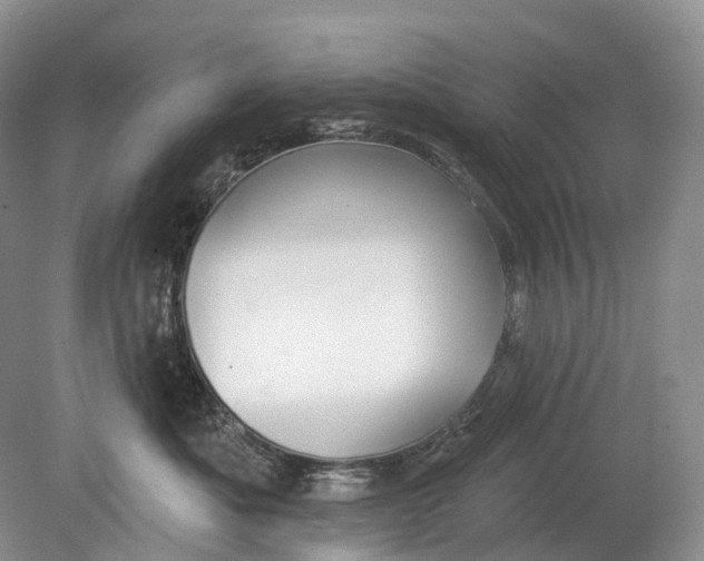 X0000078830525200612041816