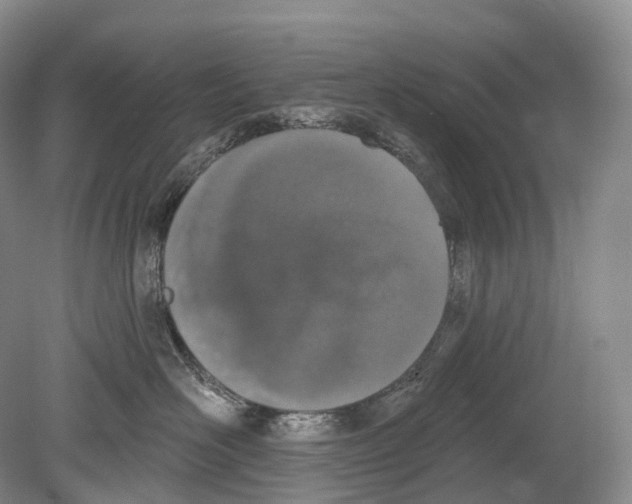 X0000078830526200612041816