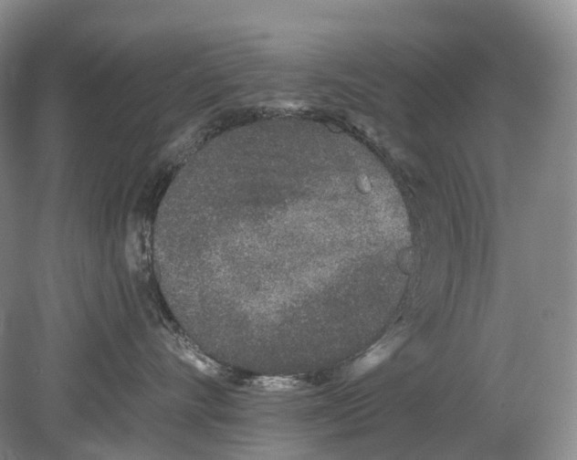 X0000078830528200612041816