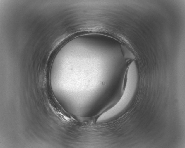 X0000078830532200612041816