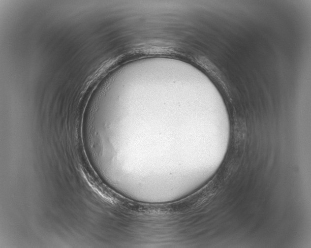 X0000078830533200612041816