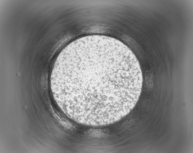 X0000078830534200612041816