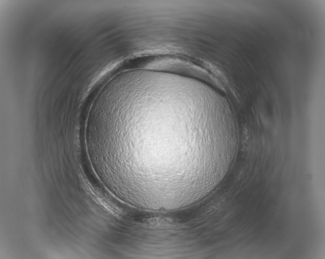 X0000078830535200612041816