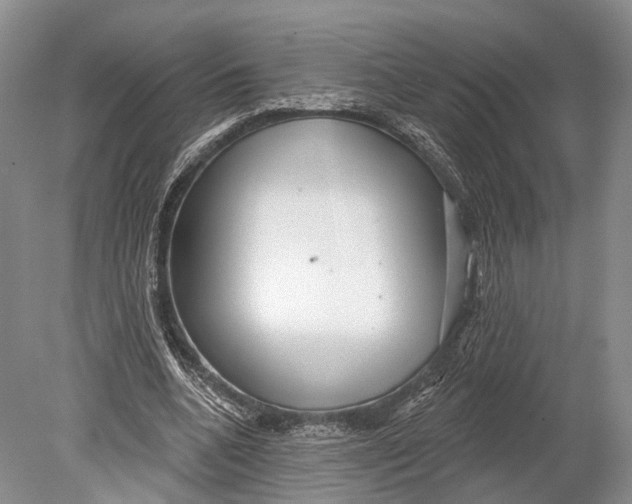 X0000078830536200612041816