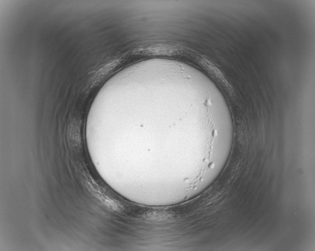 X0000078830537200612041816