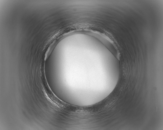 X0000078830538200612041816