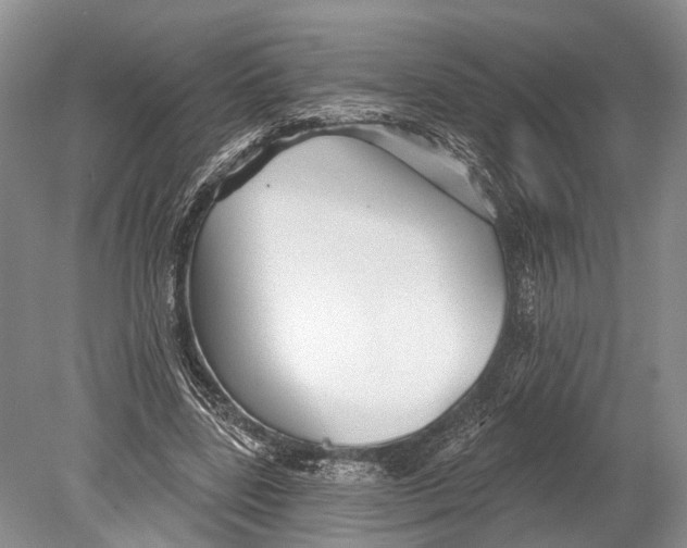 X0000078830539200612041816