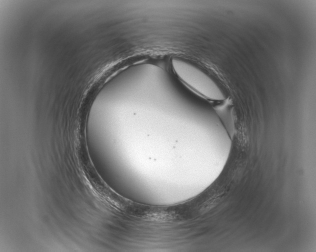 X0000078830540200612041816