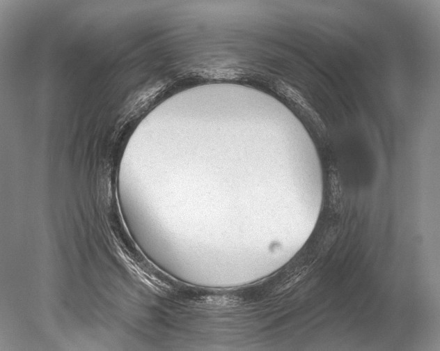 X0000078830541200612041816