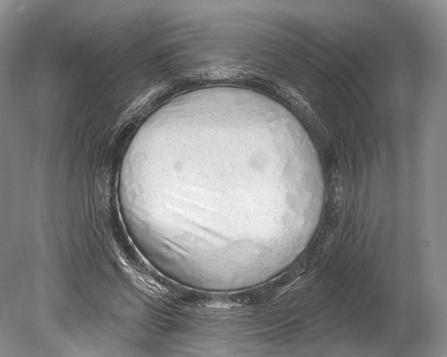 X0000078830542200612041816