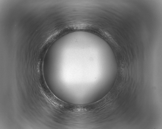 X0000078830543200612041816