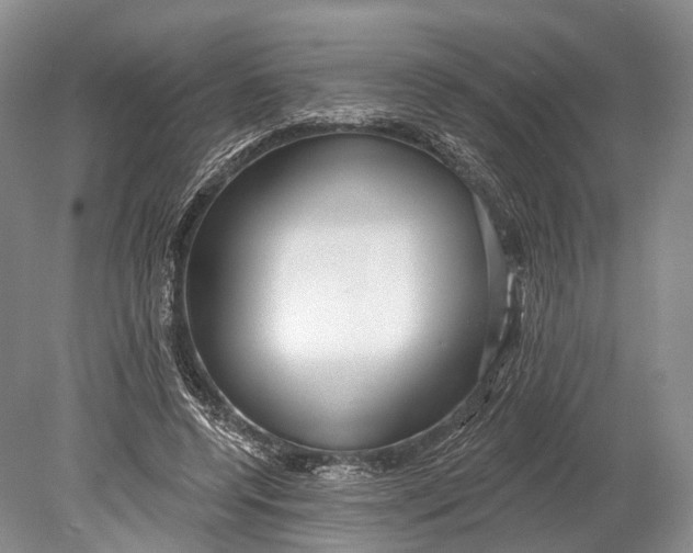 X0000078830544200612041816