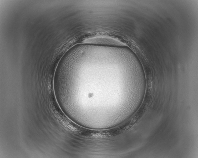 X0000078830545200612041816