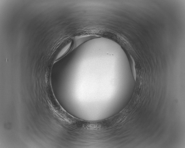 X0000078830546200612041816