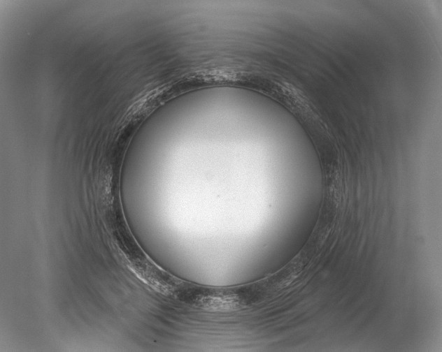 X0000078830548200612041816