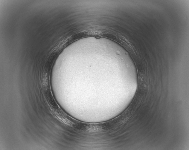 X0000078830549200612041816