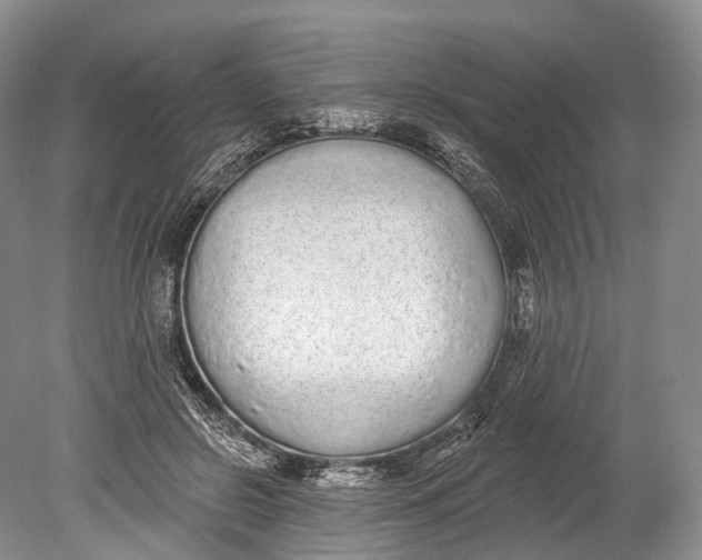 X0000078830550200612041816