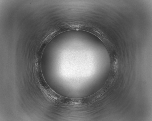 X0000078830552200612041816