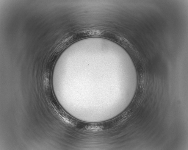 X0000078830553200612041816