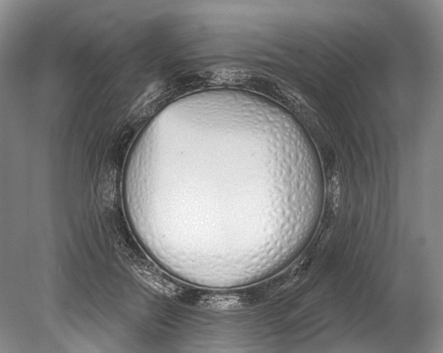 X0000078830554200612041816